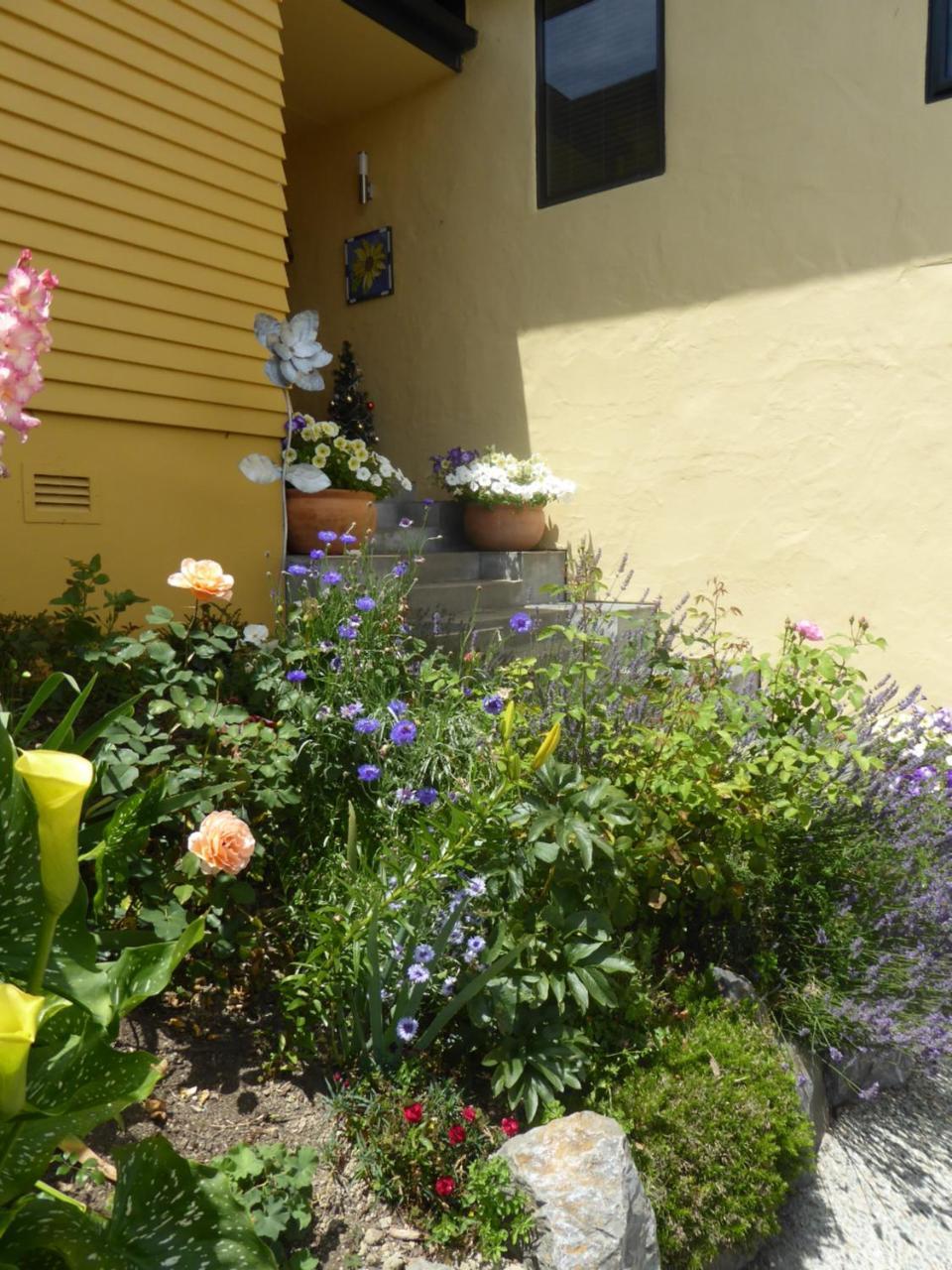 Hazelwood Mapua Bed & Breakfast Exterior photo